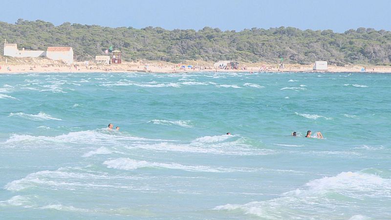 La protecció d'Es Trenc enfronta Govern i entitats ecologistes