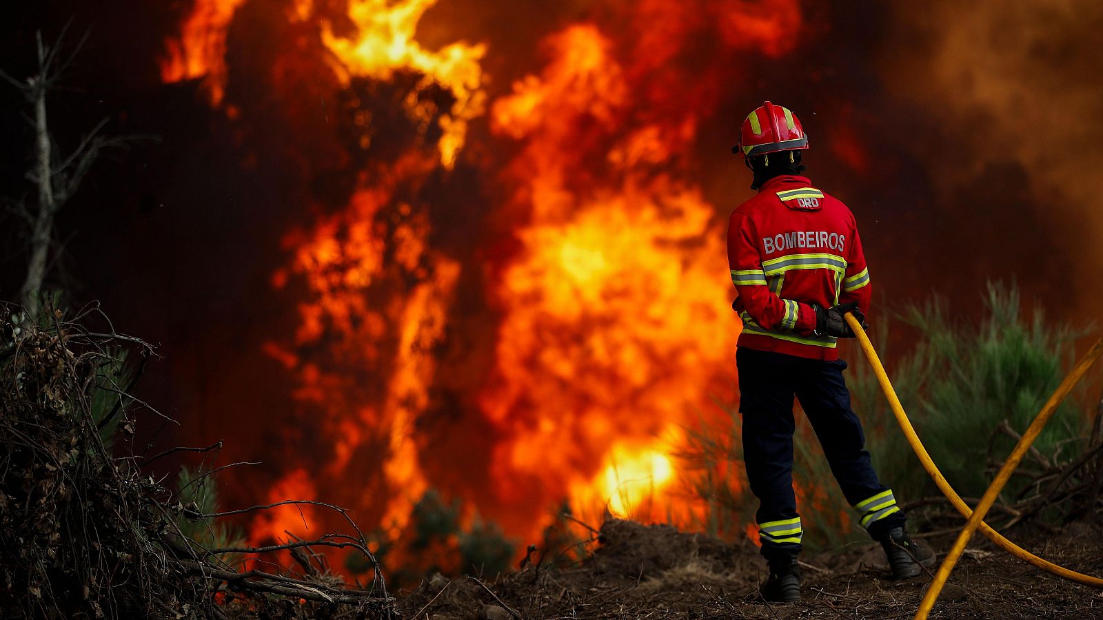 El incendio de Vouzela ha arrasado más de 10.000 hectáreas | Ver
