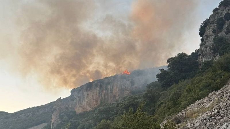 Incendios forestales en varios puntos de España | Ver