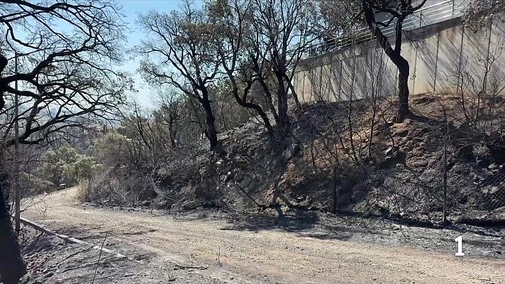 L'Informatiu - Qui és el responsable de provocar un foc quan hi ha risc d'incendi?