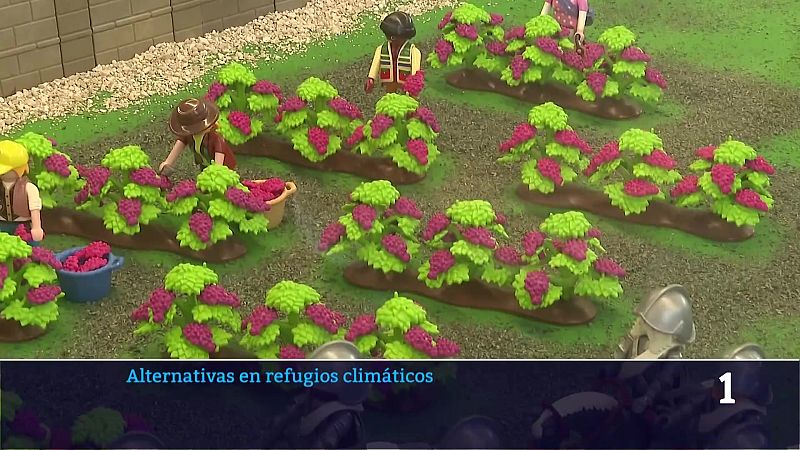 Informativo Telerioja - 06/07/26 | Ver