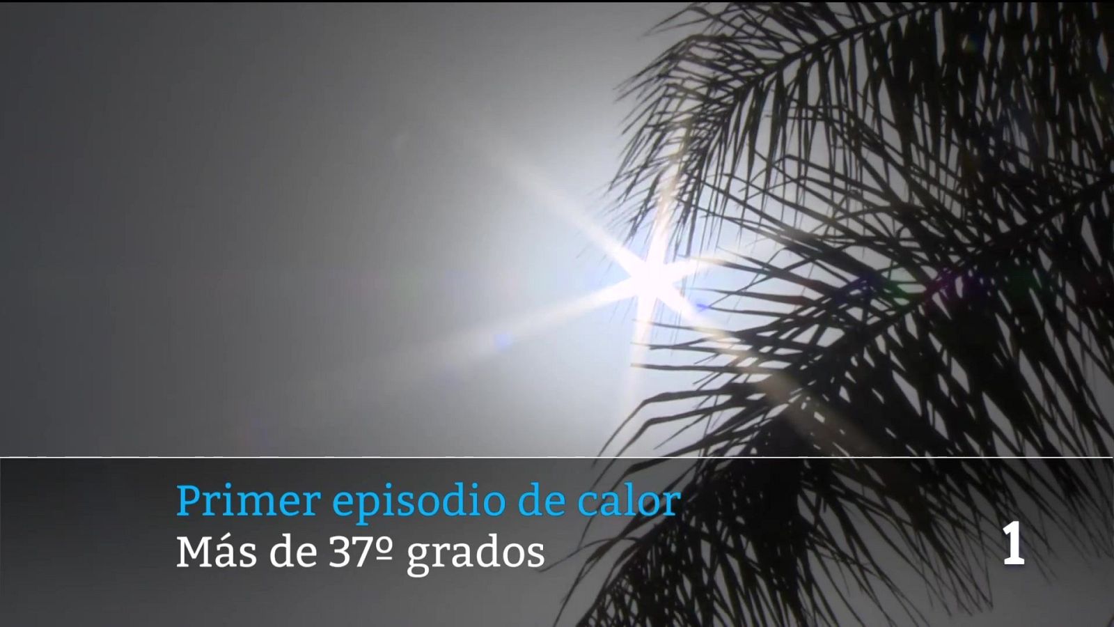 Telecanarias - 06/07/2026 | Ver