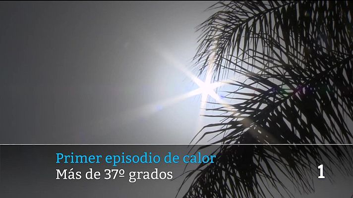 Telecanarias - Telecanarias - 06/07/2026