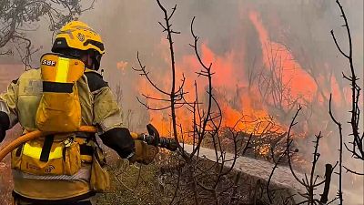 El incendio de Soneja, Castellón, se enfrenta a las horas más críticas