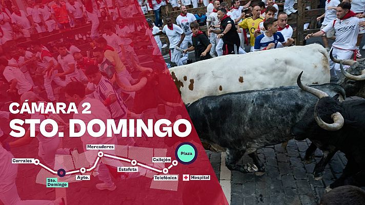 Sanfermines - Cámara 2: Santo Domingo