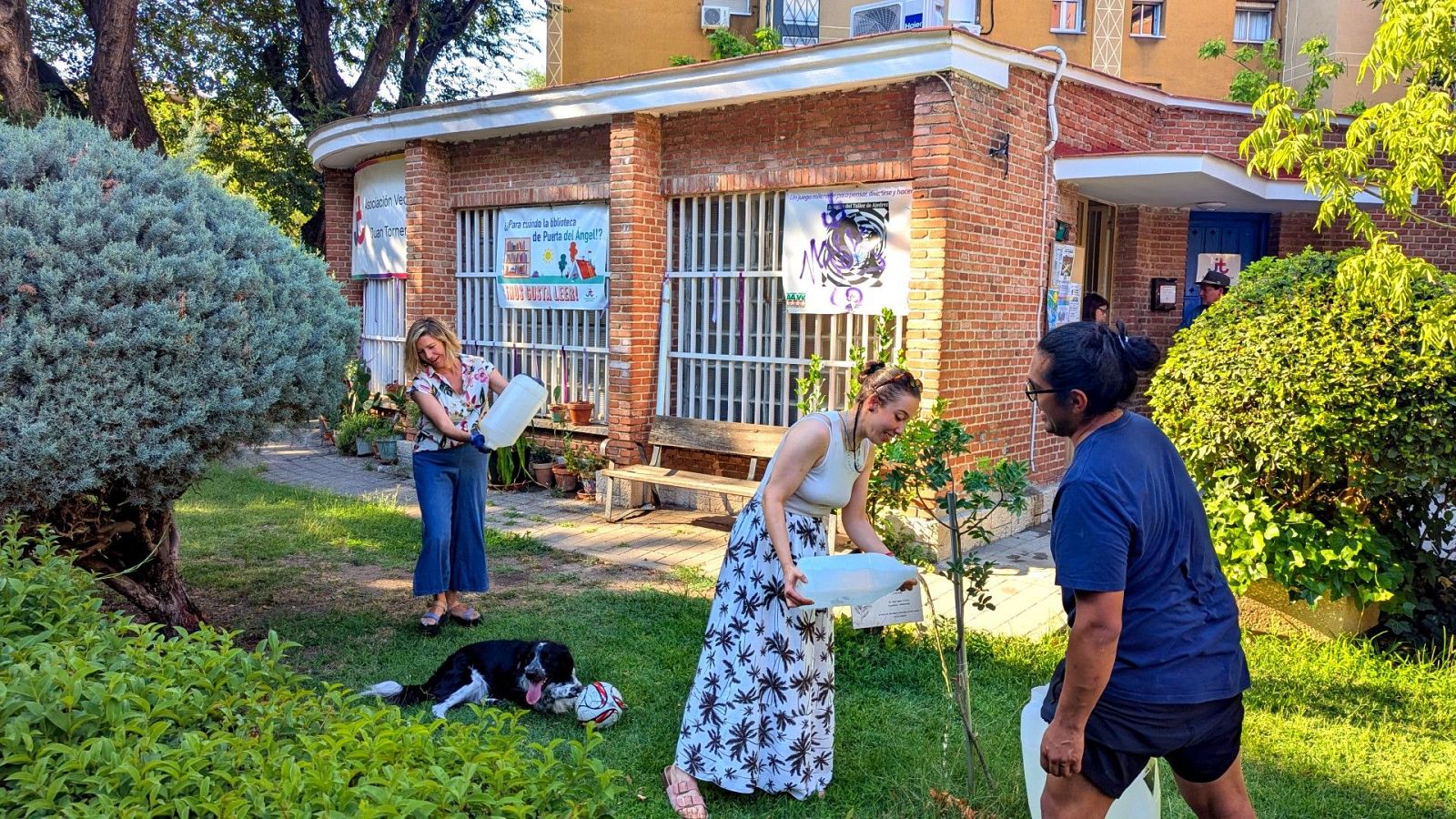 Reverdeciendo jardines: refugios climáticos de barrio creado - Informativo 24h | Ver
