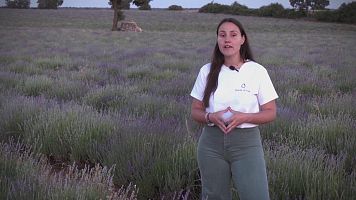 Los retos de las mujeres agricultoras: desigualdades e invisibilizaci�n