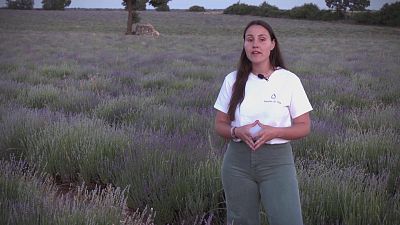 Los retos de las mujeres agricultoras | Ver