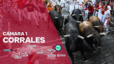 Cámara 1: Corrales