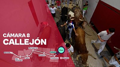Cámara 8: Callejón
