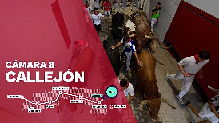 Sanfermines - Cámara 8: Callejón