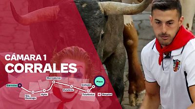 Cámara 1: Corrales
