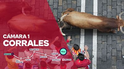 Cámara 1: Corrales