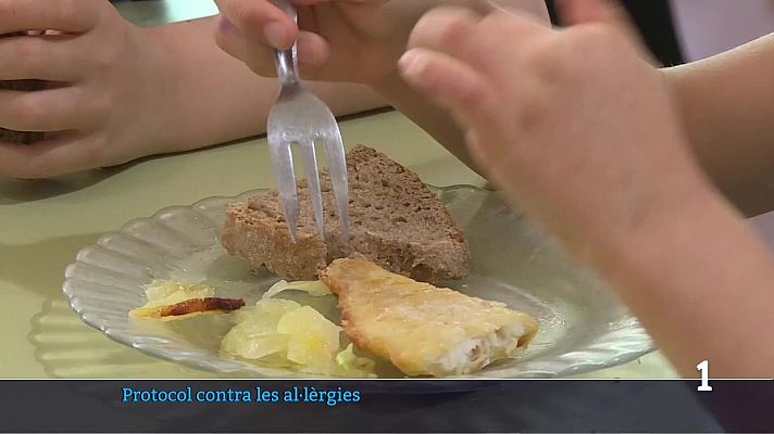 Informatiu Balear - Protocol contra al·lèrgies alimentàries