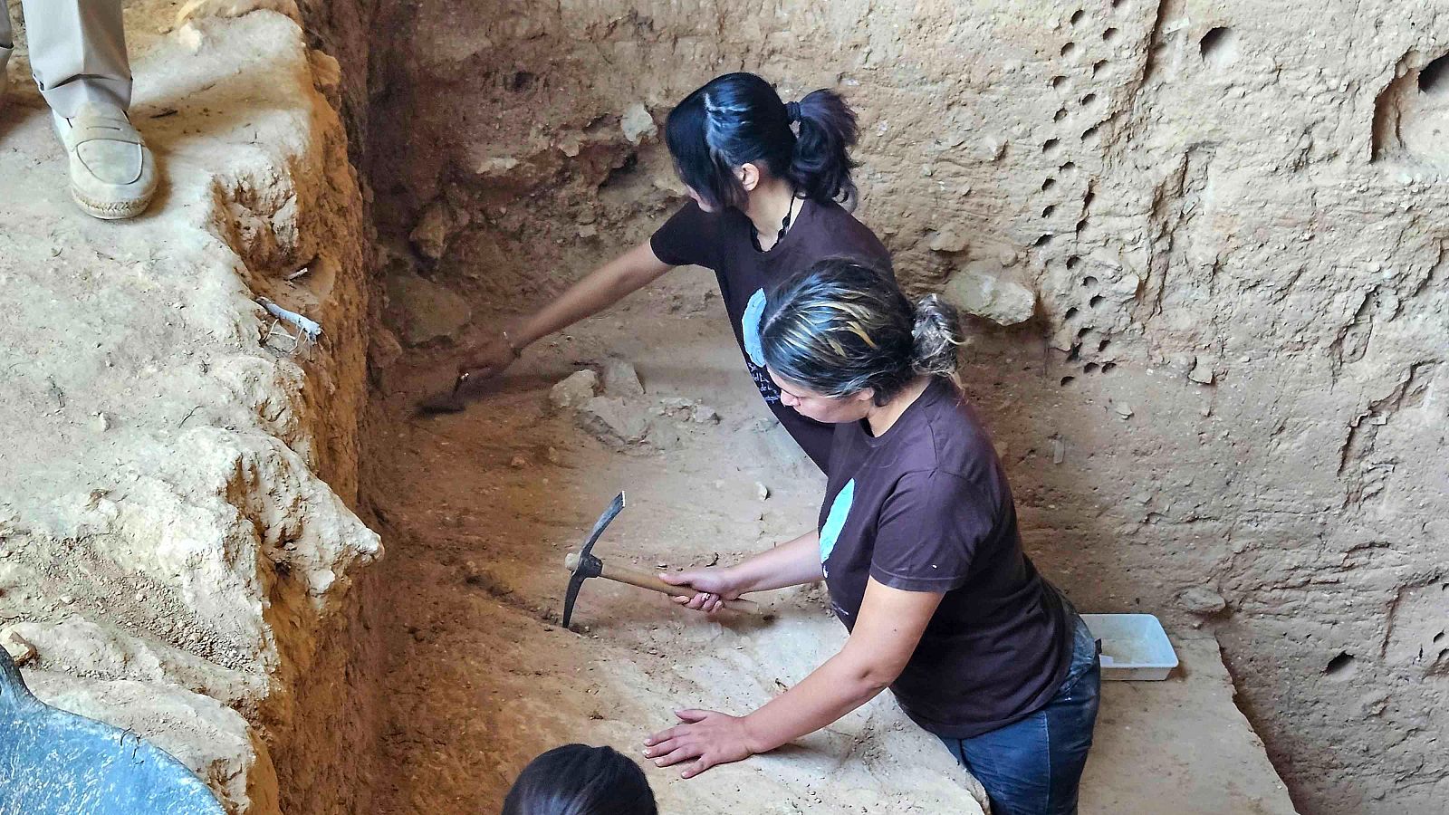 La nueva campaña de excavaciones en la Cueva  localiza  un hueso maxilar de un oso de una especie extinguida - Noticias Murcia | Ver