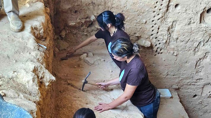 Noticias Murcia - La nueva campaña de excavaciones en la Cueva  localiza  un hueso maxilar de un oso de una especie extinguida