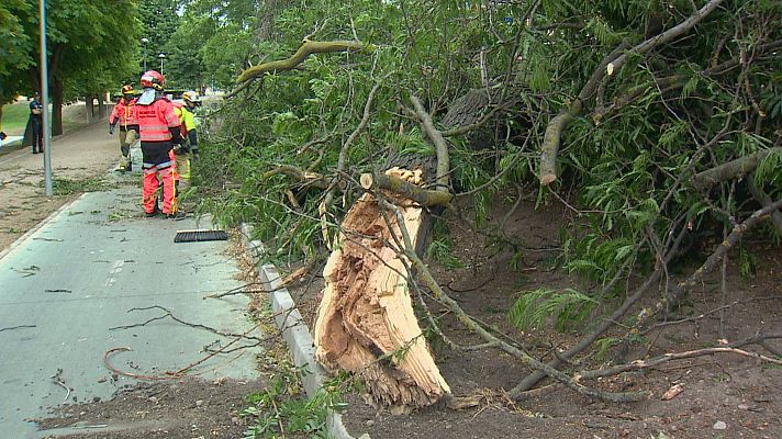 Noticias de Castilla y León - Rachas de viento de hasta 80 km/h ponen en alerta a Castilla y León