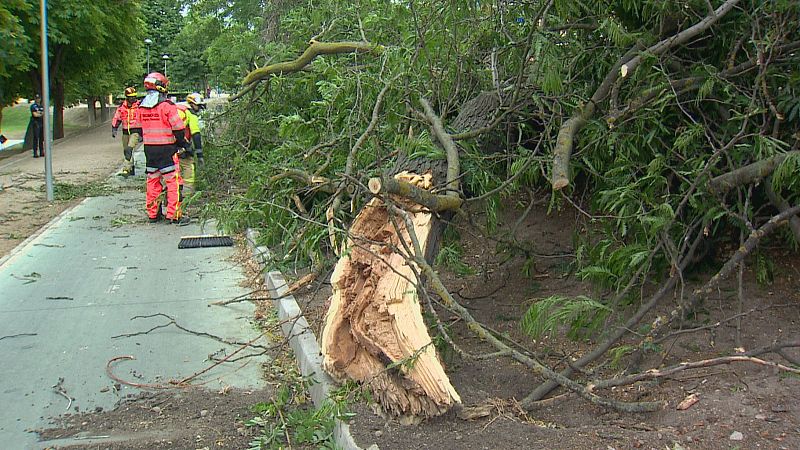 Rachas de viento de hasta 80 km/h ponen en alerta a Castilla y León