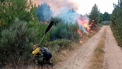 Varios incendios en nivel uno localizados en Castilla y Le�n - Noticias de Castilla y Le�n | Ver