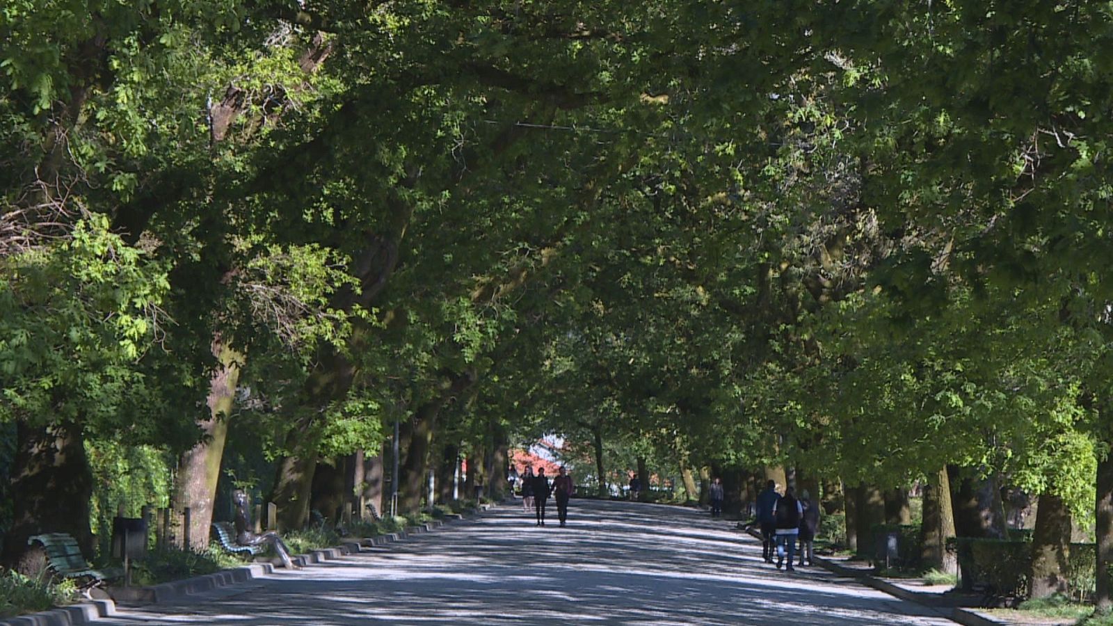 As zonas verdes nas cidades condicionan a calidade de vida - Telexornal - Galicia | Vexa