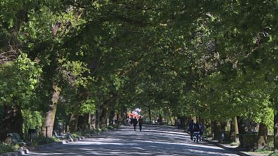 As zonas verdes nas cidades condicionan a calidade de vida - Telexornal - Galicia | Vexa