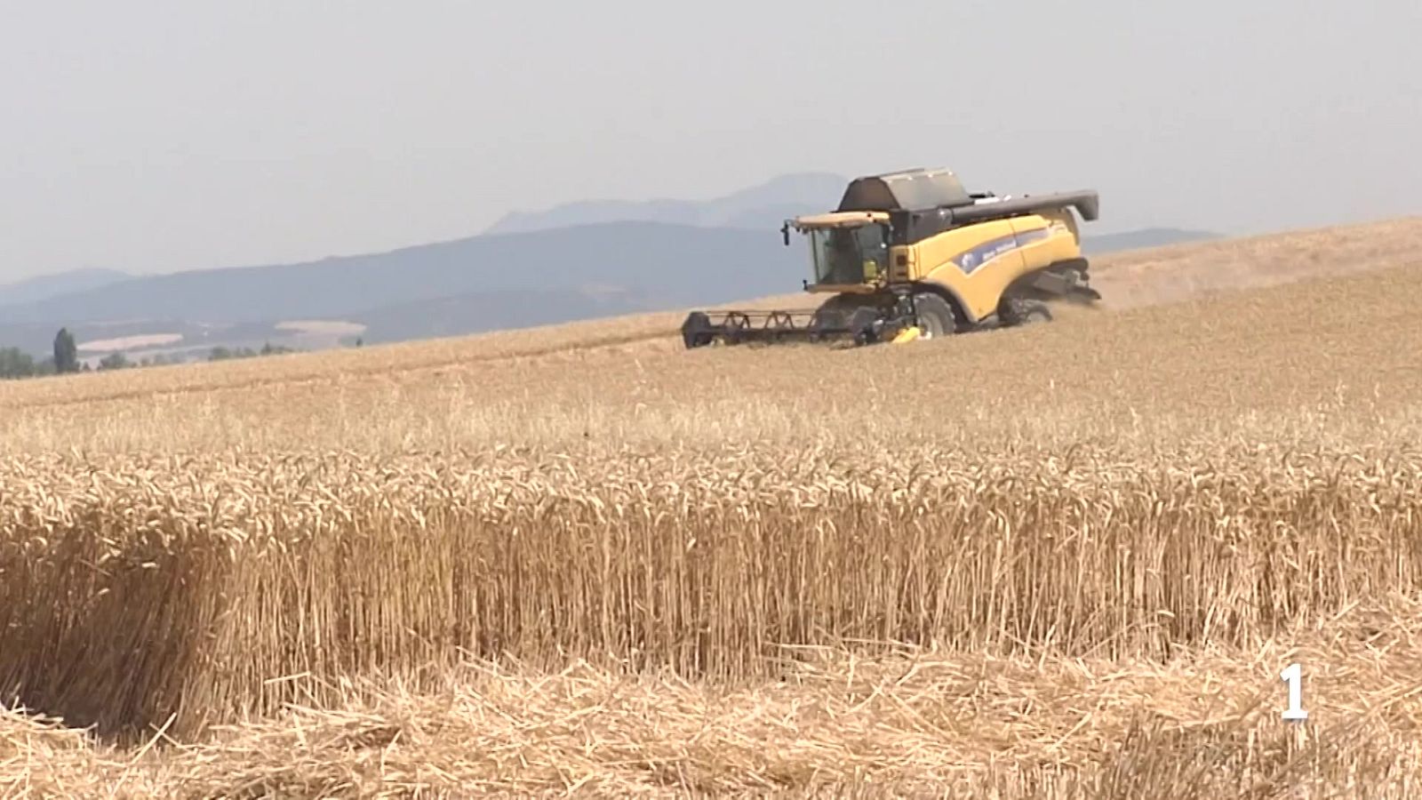Recogida del cereal en Álava en plena ola de calor | RTVE Play - Ver ahora