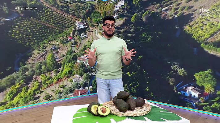 Aquí la Tierra - Aquí la Tierra - 09/07/26