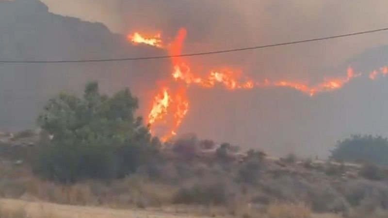 Incendio en Almería: el viento empeorará en la zona | Ver