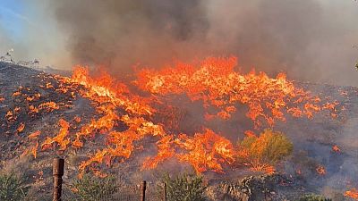 El experto forestal, Paco Castañares, sobre el incendio de Los Gallardos: "La mejor solución es el confinamiento"