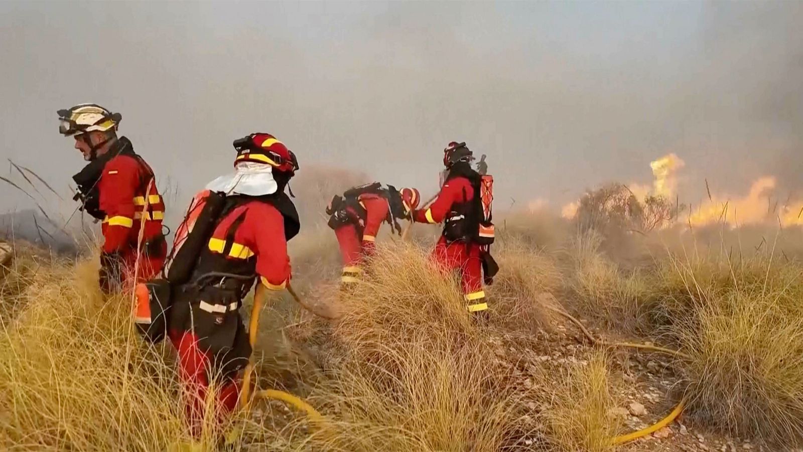 Mónica Salmerón, víctima del incendio de Los Gallardos: "Pilló toda la sierra y la nube de humo era tremenda" - Mañaneros 360 | Ver