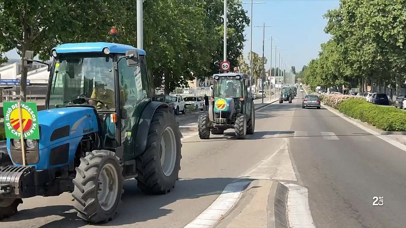 Pagesos del Penedès es mobilitzen per la crisi del raïm - L'Informatiu | Veure