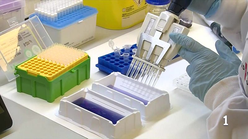 Un estudi revela diferències clau de l’Alzheimer entre homes i dones - L'Informatiu | Veure