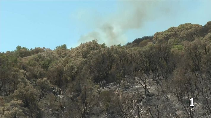 L'Informatiu - Zones de contenció i gestió forestal, mesures clau per frenar els focs