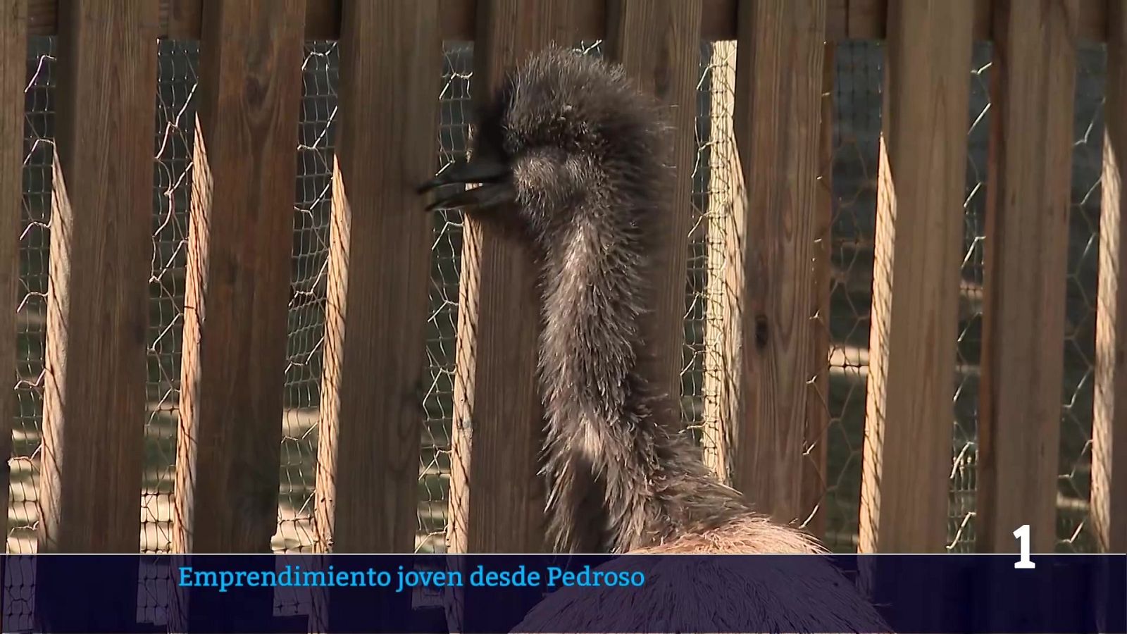 Telerioja en 2' - 10/07/26 | Ver
