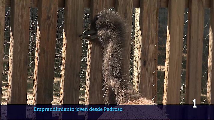 Informativo Telerioja - Telerioja en 2' - 10/07/26