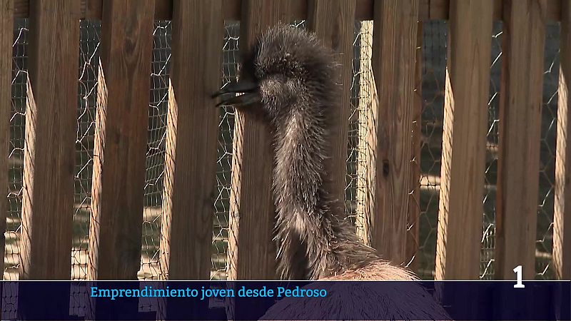 Telerioja en 2' - 10/07/26 | Ver