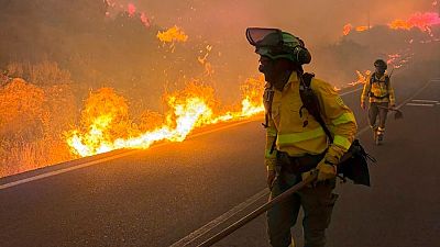 Mueren al menos 12 personas en el incendio de Los Gallardos, Almería