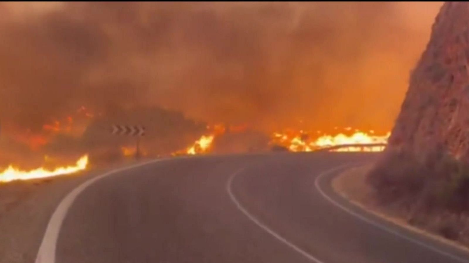 Incendio de Los Gallardos primeras hipótesis Andalucía - Noticias Andalucía | Ver