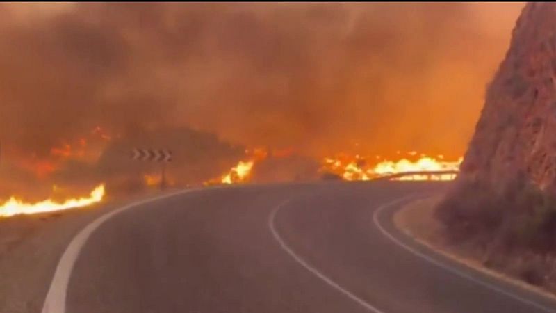 Incendio de Los Gallardos primeras hipótesis Andalucía - Noticias Andalucía | Ver