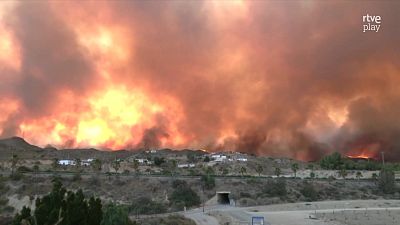 La tarde en 24 horas - 10/07/26