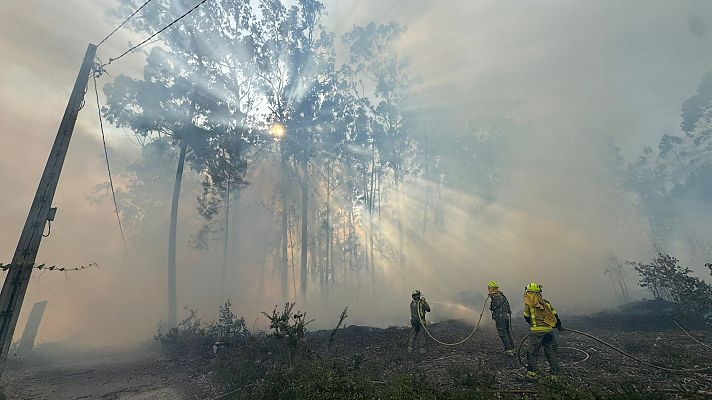 Informe Semanal - Alerta por incendios | Ver