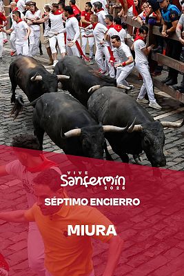 Sanfermines - Séptimo encierro de San Fermín 2026: carrera íntegra