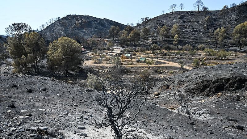 El incendio de Los Gallardos (Almería) está "estabilizado" - Informativo 24h | Ver