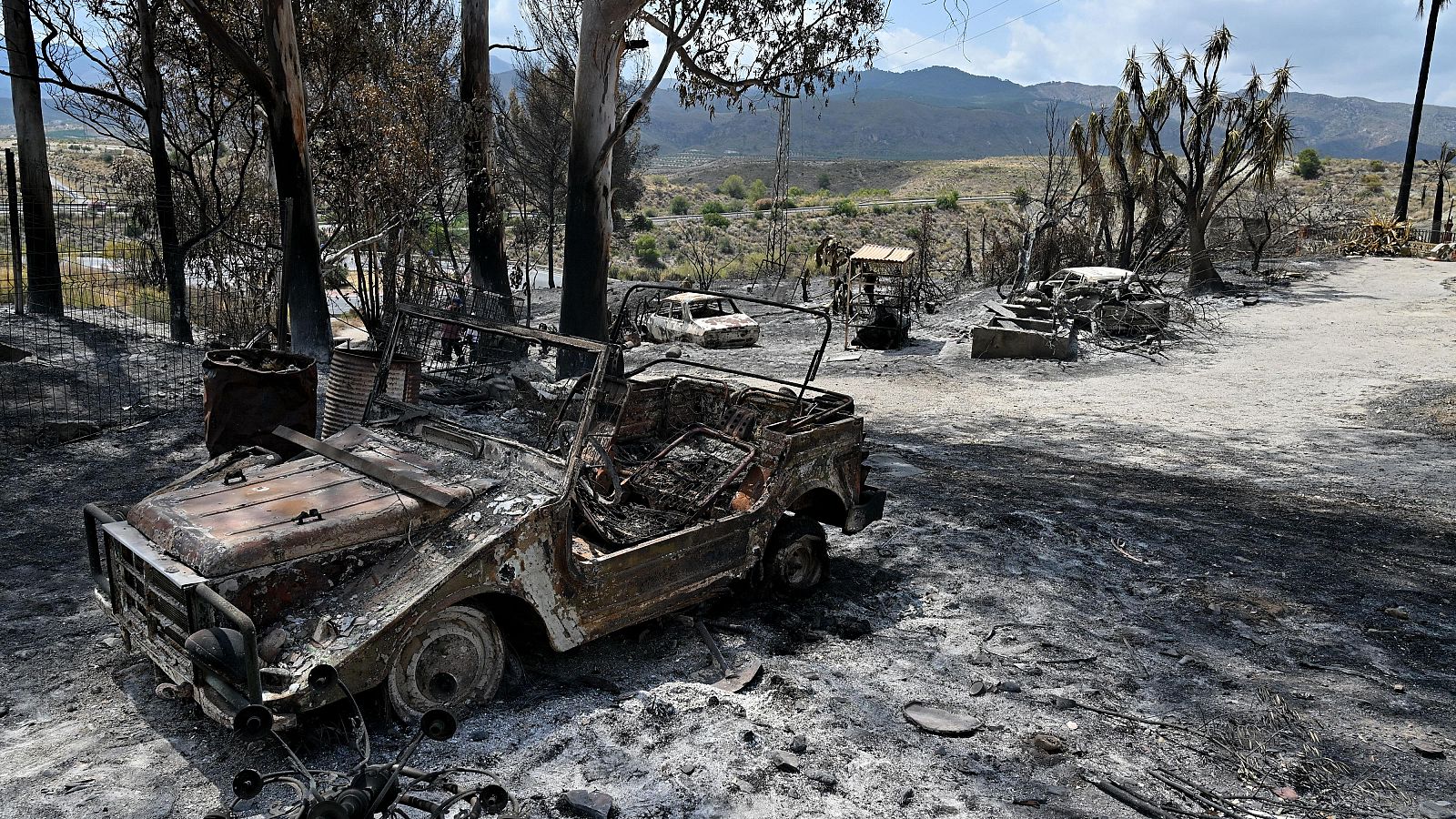 El incendio de Los Gallardos (Almería) ya está estabilizado | Ver
