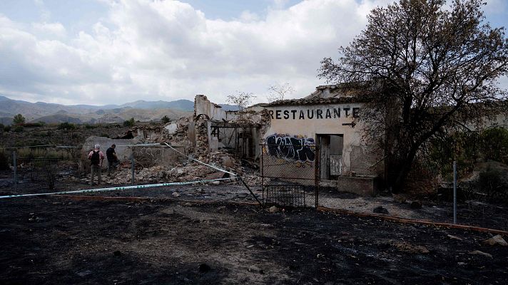 Telediario Fin de Semana - La investigación del origen del incendio de Los Gallardos mantiene como principal hipótesis la caída de un cable de la luz
