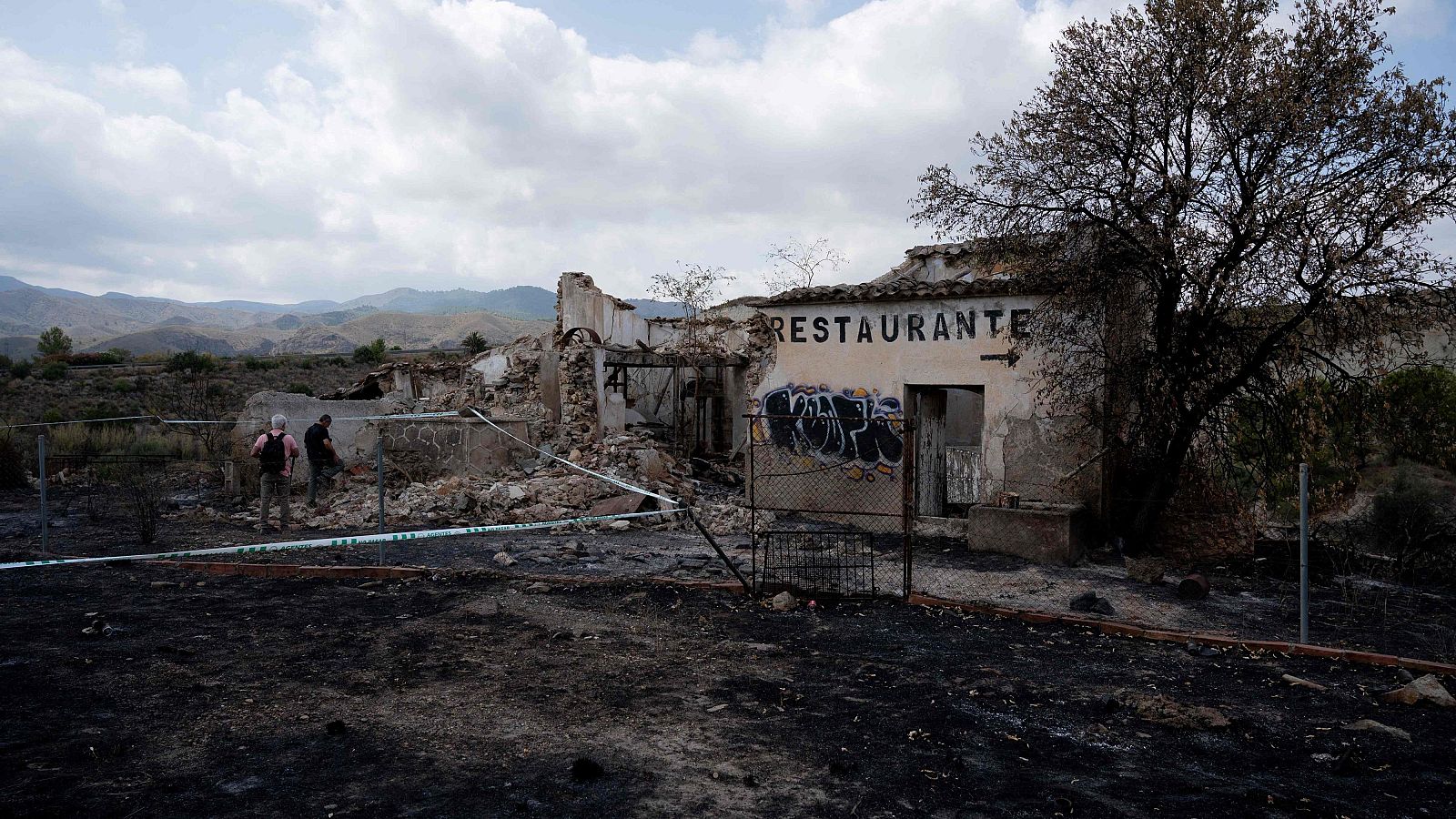 Incendio en Los Gallardos: la hipótesis del cable caído | Ver