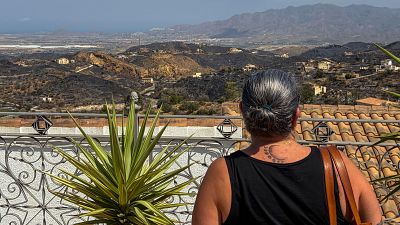 Incendio en Los Gallardos: los vecinos vuelven a sus casas | Ver