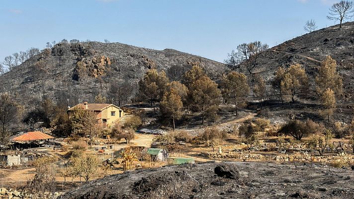 Telediario Fin de Semana - Una caída del tendido eléctrico, principal hipótesis del origen del incendio de Los Gallardos