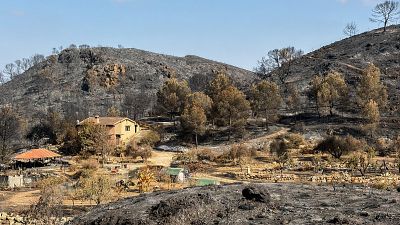 Los rastros del fuego en Almer�a | Ver