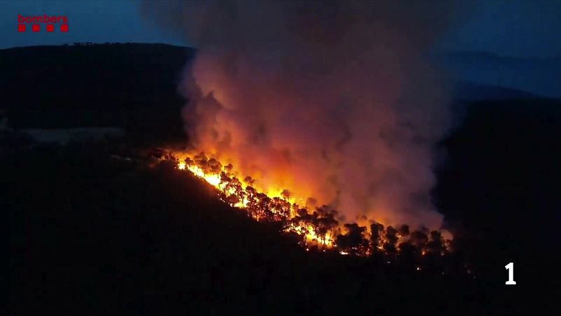 Interior confirma que l'incendi d'Aiguamúrcia ha estat provocat